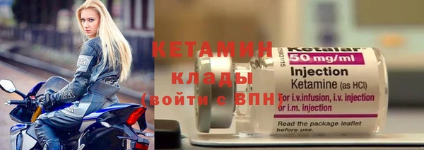 бошки Пересвет