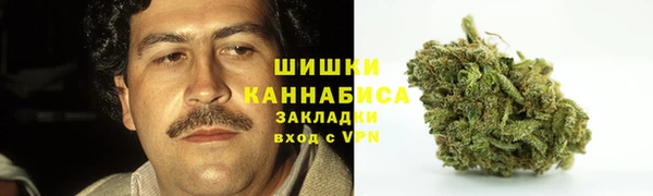 бошки Пересвет
