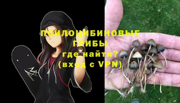 МДПВ Пестово