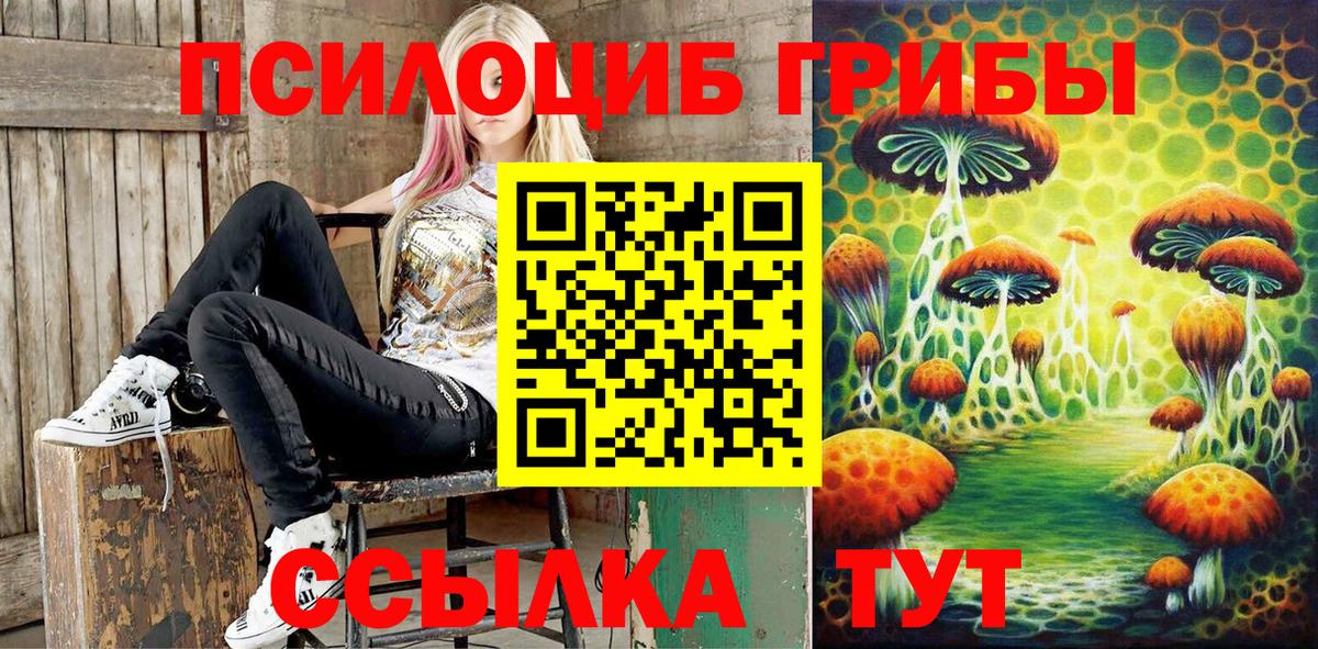 Галлюциногенные грибы GOLDEN TEACHER Подольск