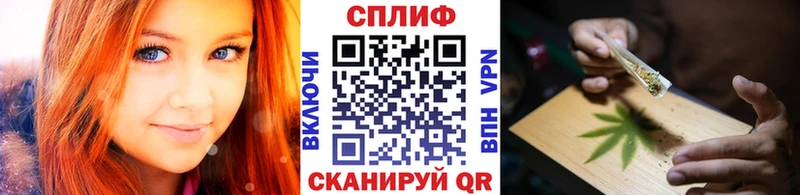 где продают   Подольск  МАРИХУАНА ГИДРОПОН 